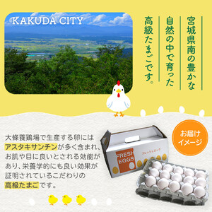 おおえだファーム アスタキサンチン卵（白）Lサイズ 50個入り 卵