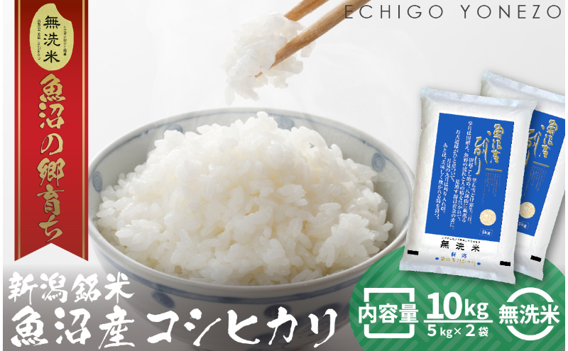 令和7年産 魚沼産コシヒカリ（無洗米）10kg お米 白米 ご飯 ブランド米 銘柄米 おにぎり お弁当 和食 産地直送 粘り モチっと食感 上品な甘み