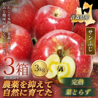 【ふるさと納税】【青森直送 季節の味覚をお届け!】サンふじ 3kg×3箱(家庭用)青森産 産地直送 限定生産【配送不可地域：離島】【1700917】