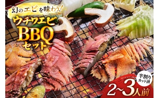 バーベキュー 海鮮 ウチワエビ BBQ セット 安心の地元 野菜付 2~3人前 [ひらど新鮮市場 長崎県 平戸市 hr42bgy400174] バーベキューセット BBQセット 魚介 エビ 海老 えび 海鮮バーベキュー 海鮮BBQ