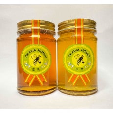 OKAWA HONEY　2個セット