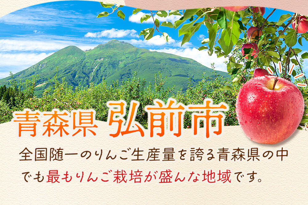 【26年12月発送】りんご 葉とらずサンふじ【特選】約10kg 26～40玉程度【糖度13度以上】津軽農園 先行受付 青森県 弘前市 果物 フルーツ 林檎 リンゴ くだもの ギフト 贈り物 [先行予約 産地直送 アップル おいしい 果実 美味 甘い 赤色]