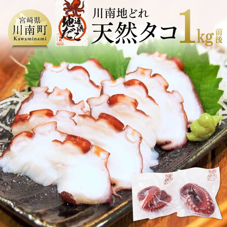 漁協直送！天然タコ（湯がき済）小分けで1kg前後　たこ 蛸 [C01709]
