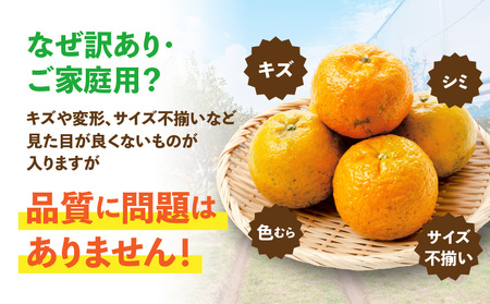 【 2026年 先行予約 】＜ ご家庭用 ＞ 訳あり たんかん 2kg （ 2026年 2月 より 順次発送 ） C071-001-02 わけあり 希少 フルーツ 果物 柑橘 かんきつ 柑橘類 ジュー