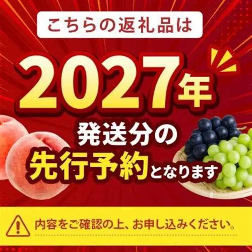 2027年発送先行受付【全国的に出回らない希少桃】マンゴーネクタリンやみつきリピーター続出中7月中旬【配送不可地域：離島・北海道・沖縄県・中国・四国・九州】【1468752】