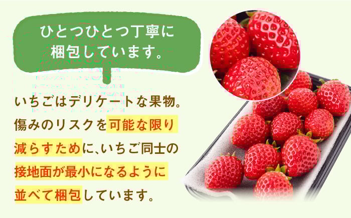 いちごの名産地からお届け！