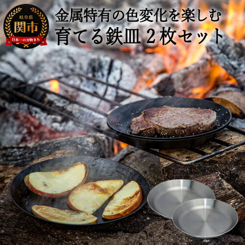 【ふるさと納税】育てる鉄皿　2枚組【最長2ヶ月】を目安に発送 鉄板 鉄板プレート ステーキ皿 プレート 直火 鉄板焼き 鉄フライパン 浅型 鉄 軽量 調理器具 国産 日本製 送料無料　鉄分補給