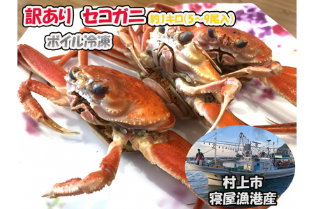 【数量・期間限定】【訳あり】新潟県村上市寝屋漁港産　セコガニ 約1kg（5～9尾入）C4088