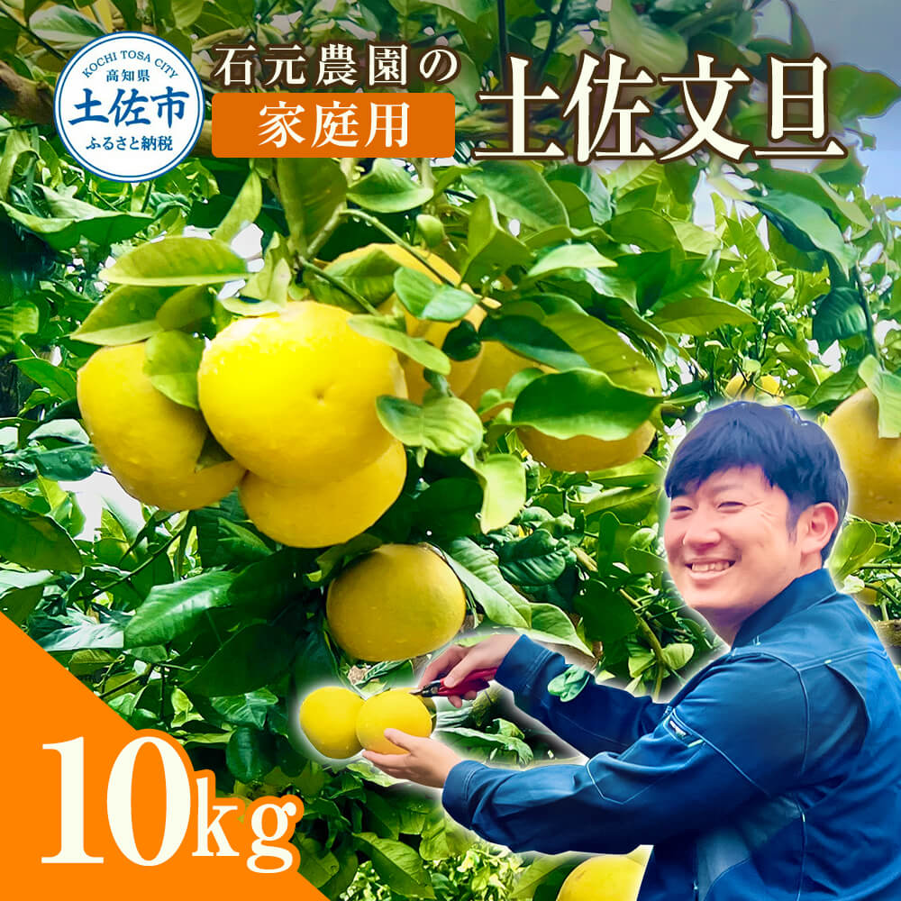 【ふるさと納税】文旦 家庭用　約10キロ（14～22玉） 期間限定 先行予約 土佐文旦 文旦 10kg ブンタン ぶんたん 果物 柑橘 フルーツ 高知県産 土佐市産 家庭用 傷 汚れ 美味しい おいしい ふるさとのうぜい 故郷納税 21000円 返礼品 高知 石元農園