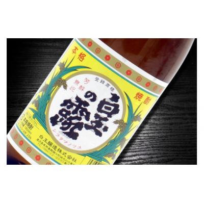 ふるさと納税 錦江町 薩摩の名門　白玉四天王Bセット　一升瓶4本セット(No.4032-1) |  | 02