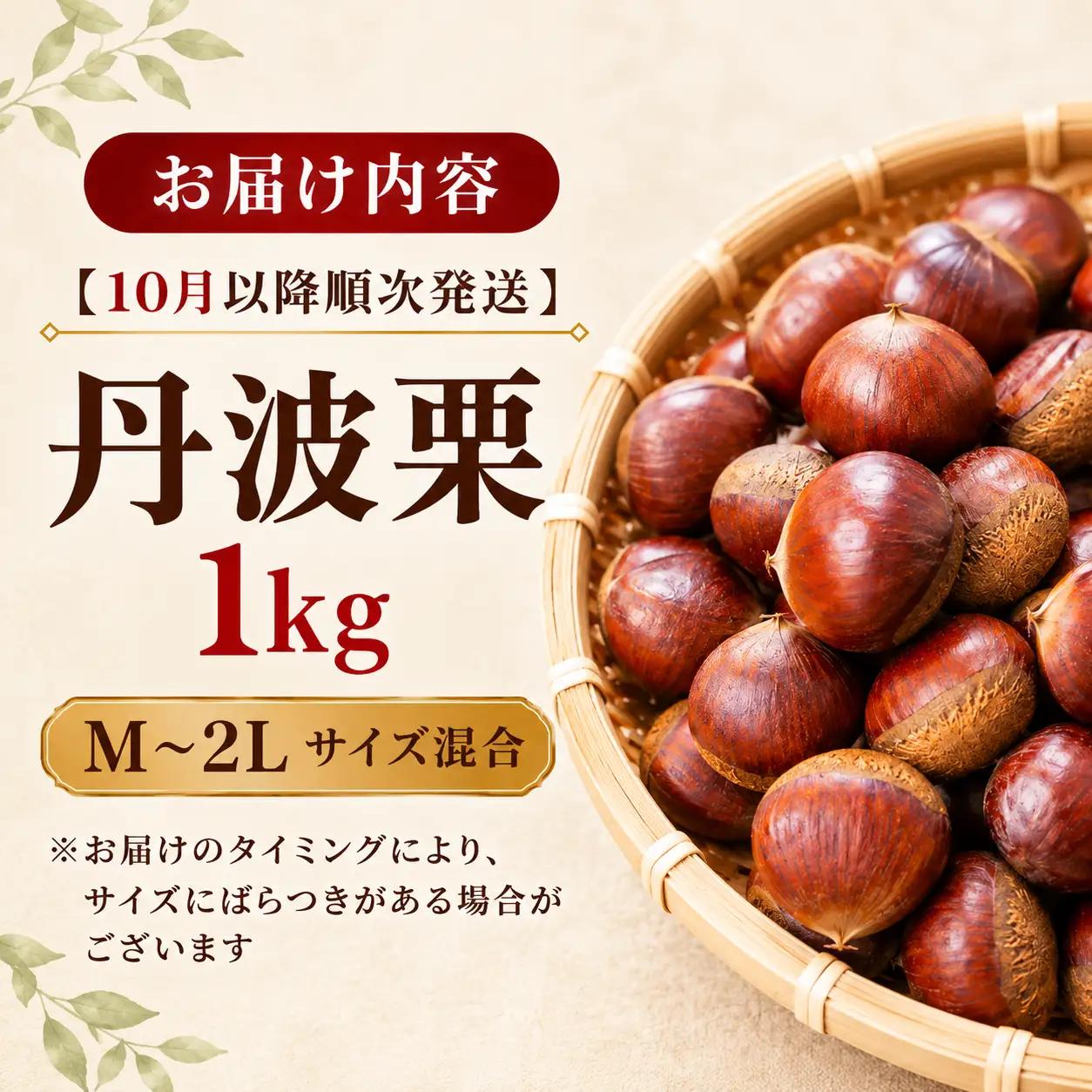 【丹波栗】 1kg M~2Lサイズ混合 栗 生栗
