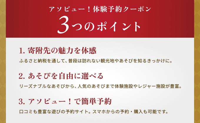 
            【白馬村】アソビュー！ふるさと納税クーポン（30,000円分）
          