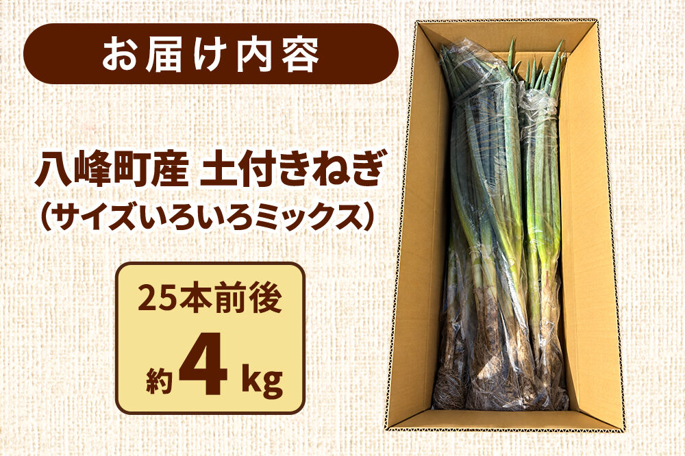 土付きねぎ 八峰町産 約4kg サイズいろいろミックス 25本前後 [産地直送 野菜 ネギ 白ねぎ 長ねぎ 秋田県産]