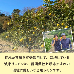 【ふるさと納税】 事前受付 牧之原産 波乗りレモン ユーレカ 2kg 国産 Lemon 檸檬 柑橘類 柑橘 フルーツ 果物 酸っぱい 果肉 酸味 防腐剤不使用 静岡県 牧之原市 