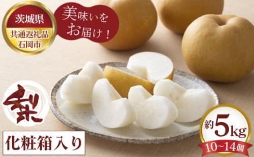 No.598 【先行予約】お中元　梨　化粧箱入り　約5kg（10～14個）【茨城県共通返礼品 石岡市】 ／ 旬 新鮮 なし ナシ 果物 フルーツ 茨城県 特産品