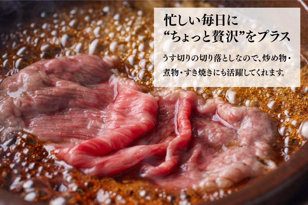 艶さし!【A4～A5】佐賀牛大判霜降り贅沢切り落とし 750g(250g×3P)【佐賀牛 切り落とし 霜降り 肩ロース 大判 一枚肉 薄切り 250g 小分け】(H112341)