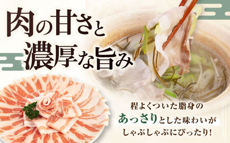 【全12回定期便】 三元豚 しゃぶしゃぶセット 計500g（ロース・バラ） だし・昆布付き 《喜茂別町》【平田牧場】 肉 豚肉 ロース バラ ロース肉 バラ肉 しゃぶしゃぶ 鍋 お鍋 冷凍配送 定期便