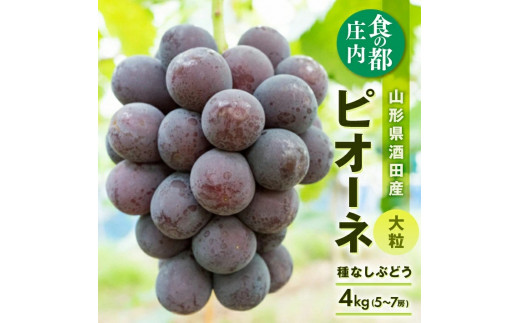 種なし大粒ぶどう　「ピオーネ」　約4kg(5～7房) SD0259