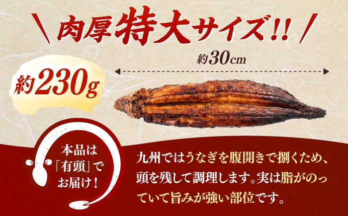 鹿児島産うなぎ2尾 蒲焼・白焼セット 国産 定期便
