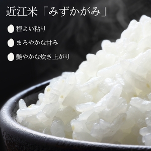 【先行予約開始】令和7年産みずかがみ　無洗米（環境こだわり栽培米）10kg お米 