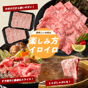 黒毛和牛 A5等級 鹿児島県産 黒毛和牛 霜降り リブロース スライス 400g IB112-011