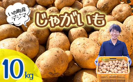 じゃがいも10kg（デジマ）