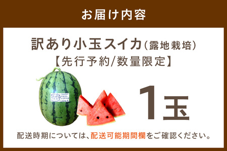 【先行予約／数量限定100】にしまるスイカ 訳あり 1玉入り（露地栽培）（2025年7月中旬から発送）