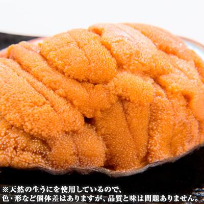 ふるさと納税 宮古市 無添加焼うに1個・塩うに1本セット |  | 02