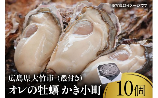 広島県産ブランド牡蠣 かき小町 10個｜かき 貝 シーフード オイスター 海鮮 魚介類 濃厚 海の幸 貝類 おおたけカキ 特大サイズ 広島 大竹市 玖波 宮島 [2631]