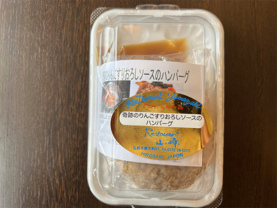 ハンバーグ 熟成豚合挽肉のハンバーグ 4個 友情のりんごすりおろしソース添え セット 湯煎 温めるだけ レトルト 小分け 個包装 お試し 簡単 簡単調理 惣菜 おかず お弁当 弁当 時短 肉 お肉 熟
