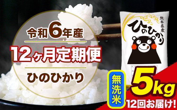 
            令和6年産 【12ヶ月定期便】 ひのひかり 無洗米 5kg 5kg×1袋 計12回お届け 熊本県産 こめ コメ 無洗米 精米 荒尾市 ひの 米 定期 《お申込み月の翌月から出荷開始》
          
