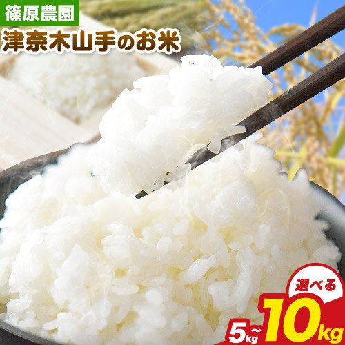 【ふるさと納税】【先行予約】令和7年産 津奈木山手のお米 選べる 5kg 10kg 篠原農園《10月から順次出荷予定(土日祝除く)》熊本県 津奈木町 米 お米 コメ ヒノヒカリ 国産 送料無料
