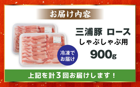 【3回定期便】 三浦豚 豚肉 ロース900ｇ（しゃぶしゃぶ用）恵那市 / あづま精肉店 [AUDL015]豚肉