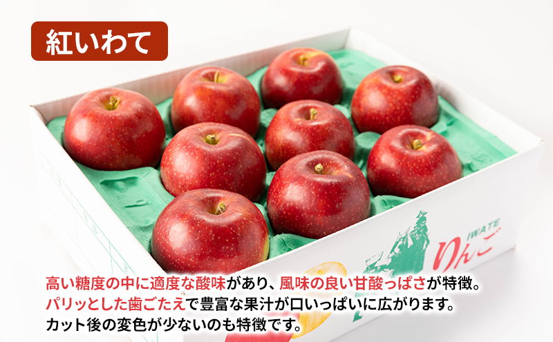 【8月から発送】 りんご 盛岡から「農で人をつなぐ」藤与果樹園： 紅いわて 約5kg 12～23玉 玉数指定不可 詰め合わせ 岩手 盛岡