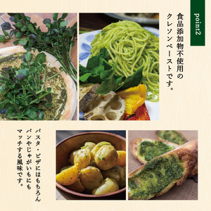 富士吉田市のクレソンペーストセット 野菜