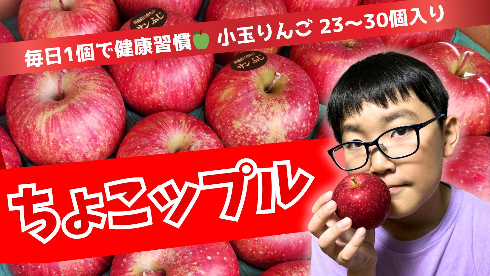 
            【毎日1個で健康習慣】 小玉りんご ちょこっぷる！ 約5kg (目安：23個～30個程度)【 リンゴ 品種 おまかせ 旬 お届け 岩手 陸前高田 】 RT3280
          
