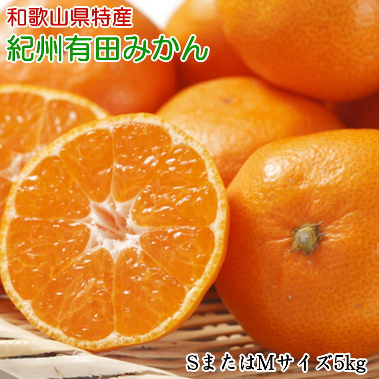 【ふるさと納税】 [秀品]和歌山有田みかん 5kg(SサイズまたはMサイズのいずれか) ※2025年11月中旬～2026年1月中旬頃順次発送予定（お届け日指定不可）