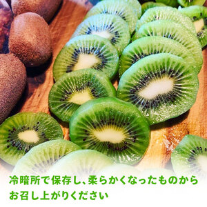 【先行予約】【12月上旬~順次発送】キウイ フルーツ 無農薬 グリーンキウイ 腸活 健康 甘い 手でむける キウイフルーツ みつばちキウイ 中玉 2kg 栽培期間中農薬・化学肥料不使用 デザート 果物