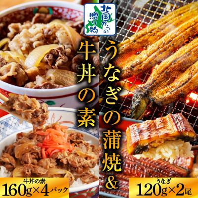 ふるさと納税 泉佐野市 【丼食べ比べ】五郎藤 国産 関西風 地焼き有頭旨鰻 &amp; 黒毛和牛で作った牛丼の素 020C403