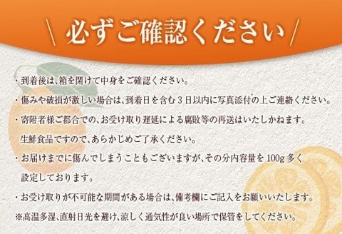 食べ応え抜群 大玉 きんかん 計2kg以上 傷み補償分付き 数量限定 期間限定 フルーツ 果物 くだもの 柑橘 金柑 先行予約 国産 希少 人気 おすすめ ジャム おやつ デザート 小分け おすそ分け