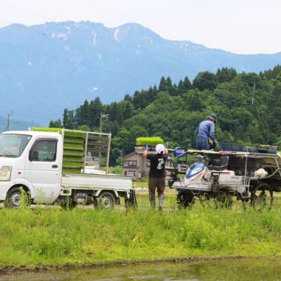 ふるさと納税 南魚沼市 【令和8年産】精米5kg 南魚沼産ゆうだい21 |  | 01
