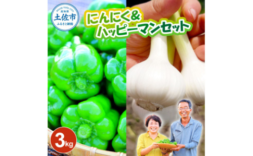 【先行予約】にんにく＆ハッピーマンセット 約3キロ 約3kg〈2026年6月10日～発送〉 ニンニク 自然乾燥にんにく ピーマン 野菜 やさい おかず 副菜 お弁当 新鮮 おいしい 採れたて 国産 訳あり【株式会社　植田ファーム】[BQAT010]