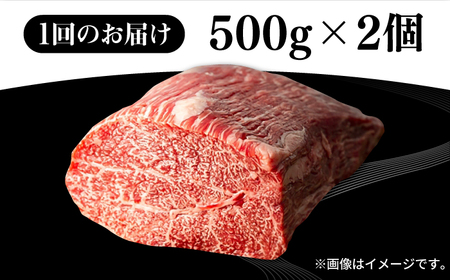 【全2回定期便】 壱岐牛 モモブロック 1kg（500g×2枚）《壱岐市》【株式会社イチヤマ】 肉 牛肉 モモ ブロック ステーキ BBQ[JFE115]