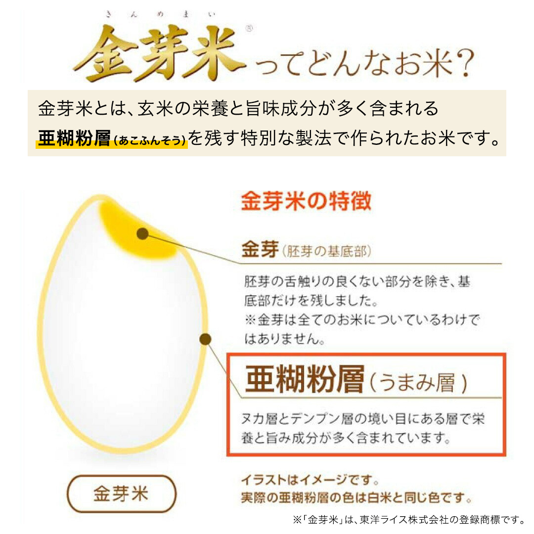 【 金芽米 】 ＜12月下旬出荷＞ つくばみらい市産 コシヒカリ 5kg × 2袋 ( 計 10kg ) 金芽米 きんめまい 米 お米 無洗米 茨城県 カロリーオフ 低カロリー 東洋ライス 節水 時短