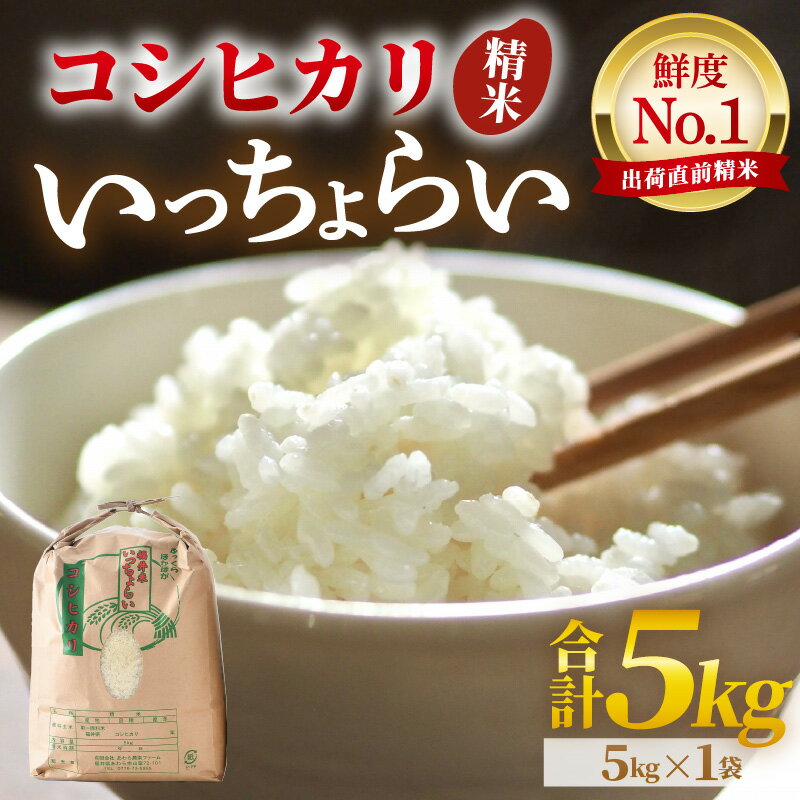 【ふるさと納税】【先行予約】【令和7年産・新米】【一等米】いっちょらい 精米 5kg ／ 福井県産 ブランド米 ご飯 白米 お米 コメ 新鮮 大賞 受賞 新米 福井県あわら産【2025年9月下旬より順次発送予定】