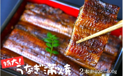 【年内配送】 特大うなぎ蒲焼き2本セット / うなぎ 鰻 ウナギ 和歌山 田辺 うなぎ 鰻 かば焼き うな丼 うな重  国産 鰻丼 特大【kpy004-1】