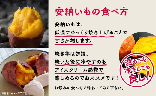 【先行予約】安納いも さつまいも 3kg （Sサイズ）【秀さん農園】種子島 焼きいも 焼き芋 本場 安納芋  さつま芋 甘い ねっとり スイーツ おやつ グルメ お取り寄せ おせち 人気 種子島産 返礼品 南種子町 鹿児島 かごしま 【観光物産館トンミー市場】