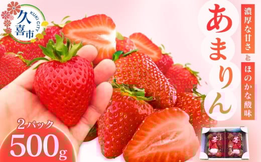 【先行予約】【期間限定】あまりん 埼玉生まれのプレミアムいちご 250g×2パック | いちご あまりん イチゴ 苺 ストロベリー ベリー 季節限定 高評価 果物 くだもの フルーツ 野菜 美味しい おいしい 甘み ほのかな酸味 デザート スイーツ ギフト 贈り物 埼玉県 久喜市