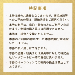 氷見市内ふるさと感謝券（宿泊・飲食） 25,000円分 観光 旅行 飲食 ランチ ディナー 食事  温泉 宿 民宿 旅 食体験 グルメ 富山県 氷見市