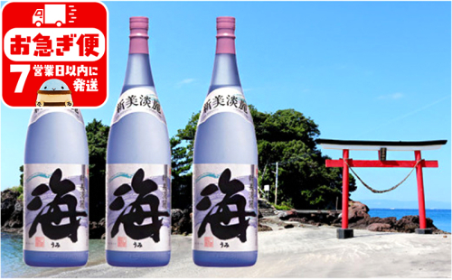 C3-25124／大海酒造　海　1800ml×3本セット